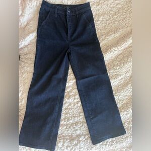 Ann Taylor Petite Denim Trousers (Size 2P)